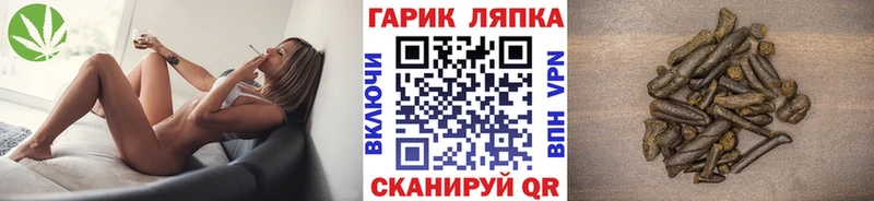 как найти закладки Елизаветинская ГАШ Cannabis
