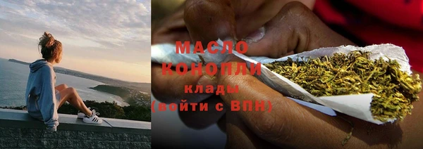 сатива Инсар