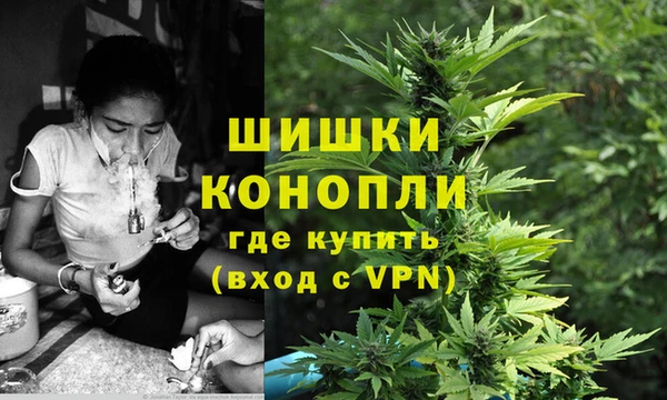 сатива Инсар