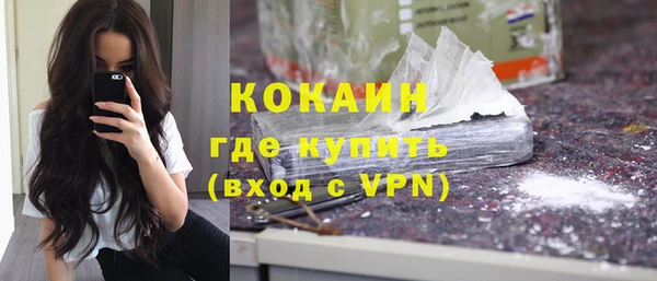 сатива Инсар
